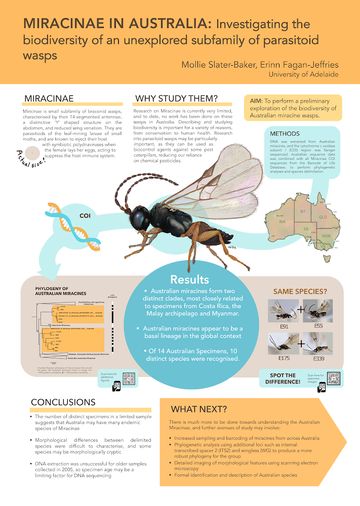 Research Posters, Design, Layout, Research Poster, Scientific Poster Template Powerpoint, Scientific Poster, Scientific Poster Design, Science Poster, Scientific Magazine