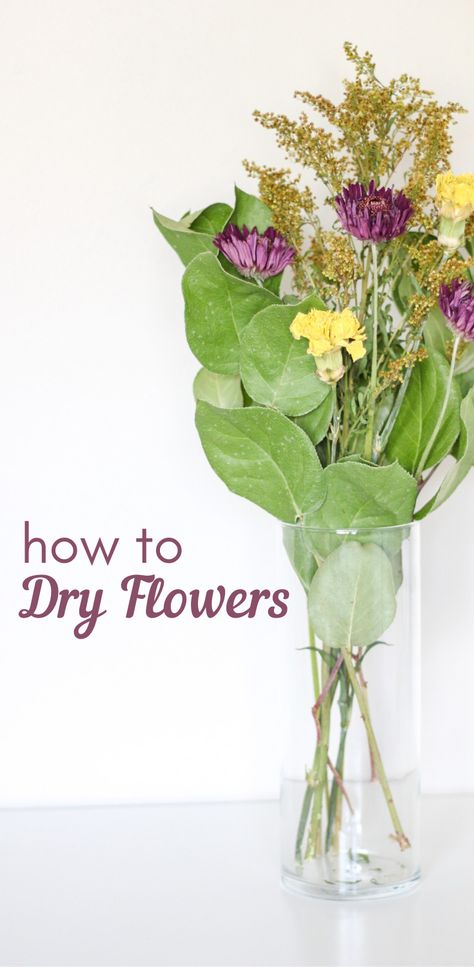 Friends, Boho, How To Dry Flowers, How To Dry Out Flowers, How To Dry Bouquet Flowers, Drying Flowers, How To Preserve Flowers, Dry Flowers, Diy Dried Flower Arrangement