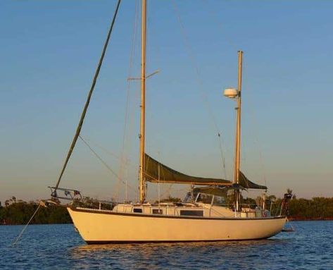 Want to go sailing on a budget? Why not pick a budget boat for sailing around the world? Here are our top picks for the best 5 sailboats for ocean cruising. #thewaywardhome #sailboat #sailing #sail #boating #boat #ocean Catamaran, Sail Boats, Sailboat Living, Sailing Basics, Boat, Small Sailboats, Yacht, Sailboat Design, Ocean Sailing