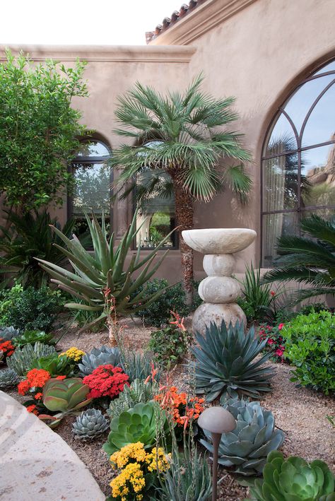 Gardens, Spanish Landscaping, Desert Landscaping, Rock Garden Landscaping, Cactus Garden Design, Desert Landscaping Backyard, Landscaping With Rocks, Outdoor Landscaping, Cactus Garden Landscaping