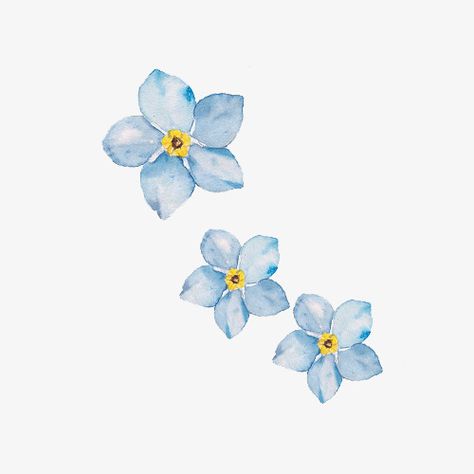 Flowers, Blue Flower Png, Small Flowers, Flores, Blue Flower Wreath, Flower Wallpaper, Flower Backgrounds, Blue Flower Arrangements, Blue Flower Wallpaper