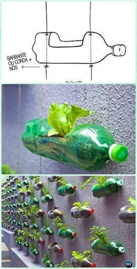 Plastic Bottle Planter, Recycle Plastic Bottles, Reuse Plastic Bottles, Diy Plastic Bottle, Diy Garden, Plastic Bottles, Recycled Garden, Bottle Garden, Plastic Bottle