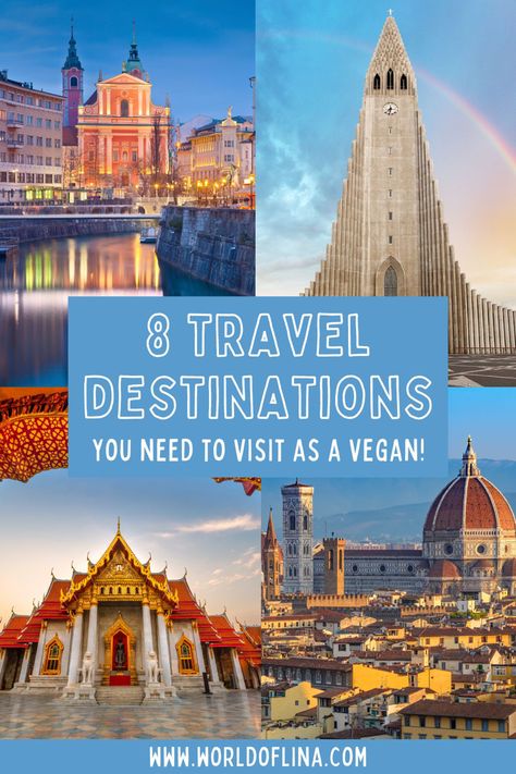 Destinations, Travelling Tips, Travel Destinations, Wanderlust, Ideas, Travel Lunches, Travel Food, Vegan Travel, Travel Snacks