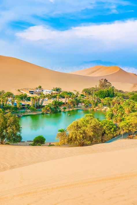 Huacachina Peru is a real oasis in the desert of Peru! This is one of the best day trips you can take from Lima Peru #Huacachina #lima #paracas #peru #travel #southamerica #desert #oasis Peru, Lima, Destinations, Peru Travel, Lima Peru, Desert Oasis, Lugares, South America, Chile