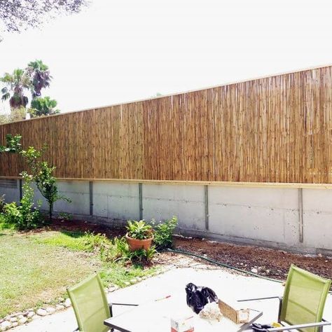 Top 50 Best Bamboo Fence Ideas - Backyard Privacy Designs Back Garden Landscaping, Bamboo Privacy Fence, Bamboo Screening Fence, Bamboo Fence, Bamboo Garden Fences, Backyard Privacy, Bamboo Screening, Backyard Landscaping, Fence Ideas