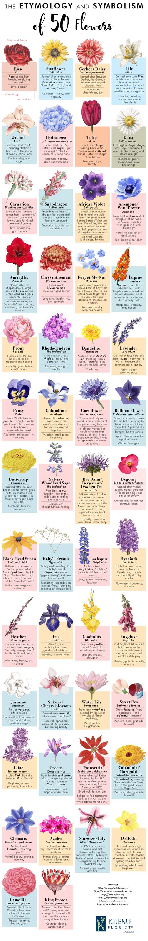 Flora, Floral, Flower Meanings Chart, Meaning Of Flowers, Gladiolus Flower Meaning, Flower Types Chart, Flower Meanings Chart Tattoo, Lily Meaning, Types Of Roses