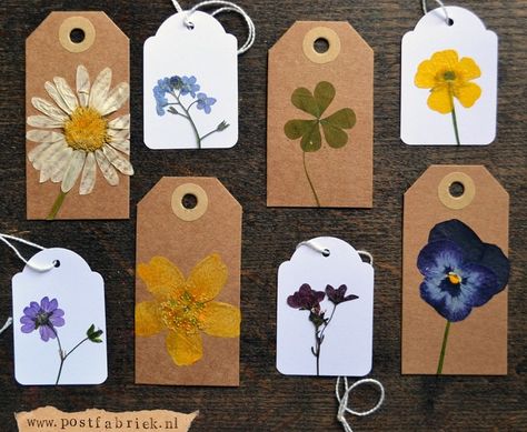 We compiled a list of 40 DIY pressed flower ideas for you to make. If you love beautiful flowers, then this pressed flowers roundup will inspire you. Diy, Pressed Flowers Diy, Pressed Flower Crafts, Diy Flowers, Flower Gift, Flowers Diy, Flower Cards, Pressed Flowers, Flower Crafts