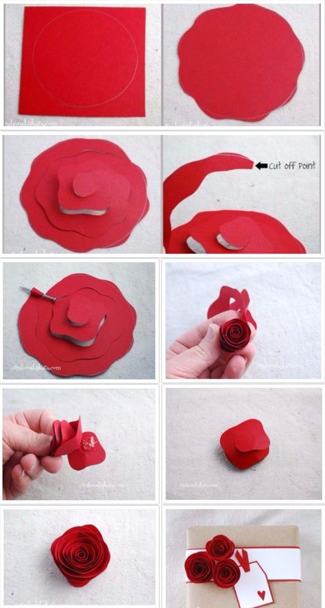 Rolled Paper Roses Paper Flowers, Diy, Floral, Paper Roses Diy, Paper Flowers Diy, Rolled Paper Flowers, Paper Flowers Craft, Paper Roses, Rolled Paper