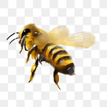 Graffiti, Doodles, Honey Bee Cartoon, Bee Illustration, Bee Clipart, Bee Art, Bee, Bee Silhouette, Cartoon Bee