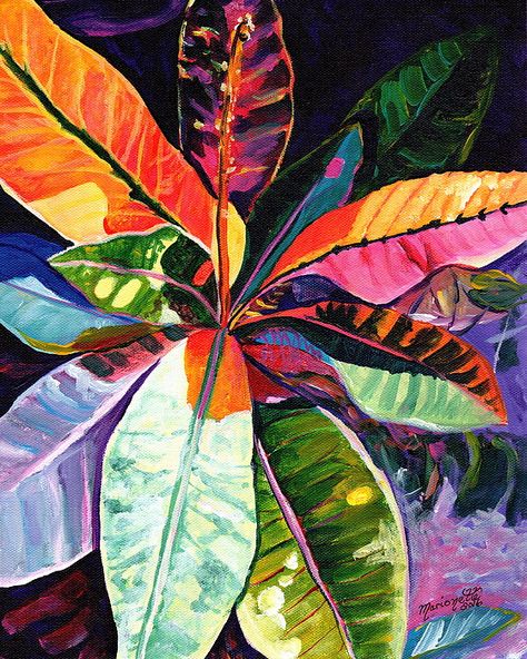 Watercolour Art, Maui, Art, Watercolour Paintings, Painting & Drawing, Tropical Art, Watercolor Paintings, Watercolor Art, Colorful Paintings
