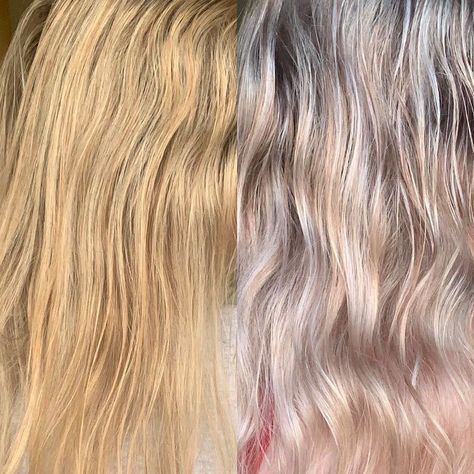 Blue Shampoo for Orange Roots Before-After Picture Bleached Hair, Bleaching Your Hair, Blue Shampoo For Blondes, Bleaching Hair, Hair Rinse, Toner For Orange Hair, Grey Hair Transformation, Orange To Blonde Hair, Hair Color Formulas