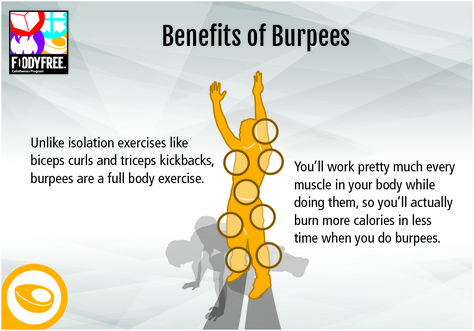 Benefits of Burpees: Unlike isolation exercises like biceps curls and triceps kickbacks, burpees are a full body exercise. That means you’ll work pretty much every muscle in your body while doing them, so you’ll actually burn more calories in less time when you do burpees. Do them quickly with intensity and you’ll get an even bigger calorie burning effect that will last all day long. If you want to know more, please visit: https://www.facebook.com/foodyfree Burpees Exercise, Burpee Challenge, Gym Workout Chart, Fat Burning Tips, Muscles In Your Body, Workout For Flat Stomach, Benefits Of Exercise, Workout Chart, Bicep Curls