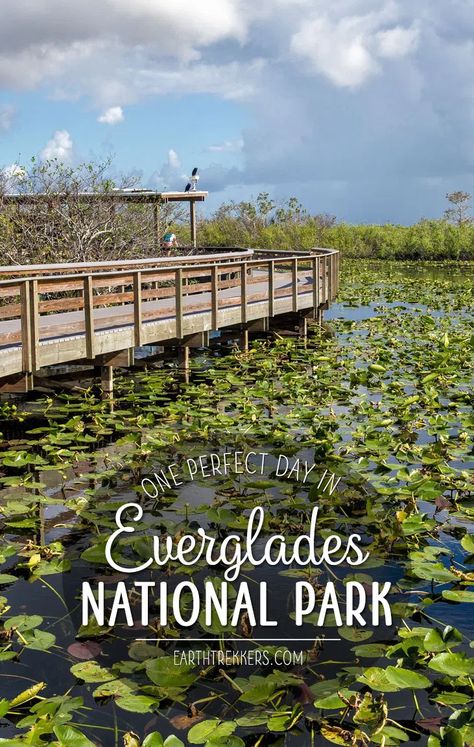 Florida Keys, Trips, Key West Florida, Fort Lauderdale, State Parks, Florida, Everglades Florida, Everglades National Park, Vacation Spots