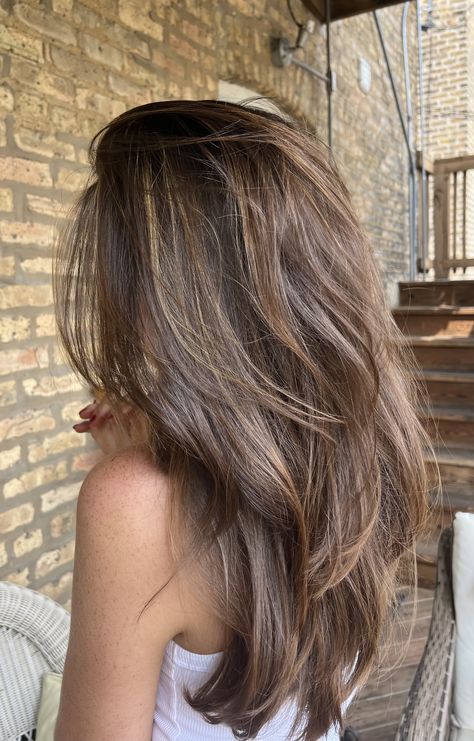 Brunette Layers With Highlights, Layered Balayage Hair Brunettes, Summer Brown Highlights, Honey Brown Layered Hair, Hair Inspo Summer 2024, 90s Brown Hair With Highlights, Layered Highlights Brown Hair, Highlights In Asian Hair, Brunette Hair Inspo 2024