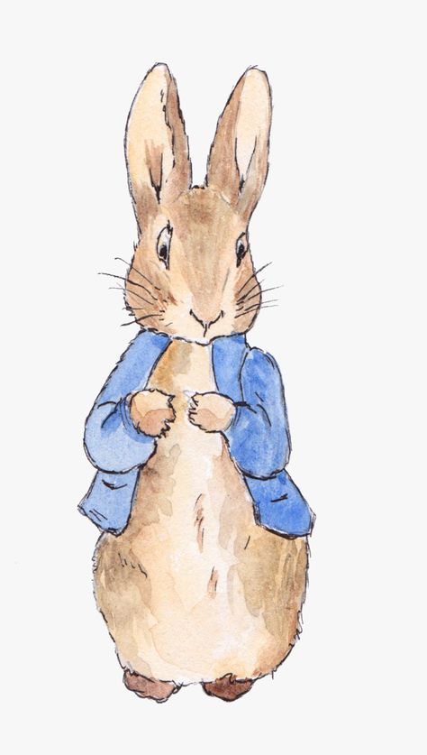 Art, Peter Rabbit, Petter Rabbit, Beatrix Potter Illustrations, Beatrix Potter, Rabbit Illustration, Rabbit, Rabbit Png, Art Prints