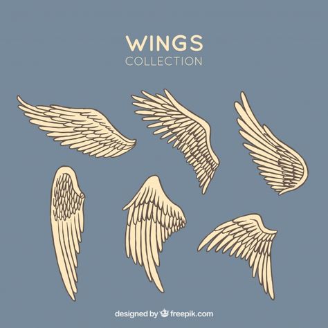 Набор рисованной крылья Бесплатные векто... | Free Vector #Freepik #freevector #hand #hand-drawn #angel #feather Statue, Draw, Croquis, Wings, Inktober, Anjo Desenho, Angel Wings Drawing, Wings Art, Drawings