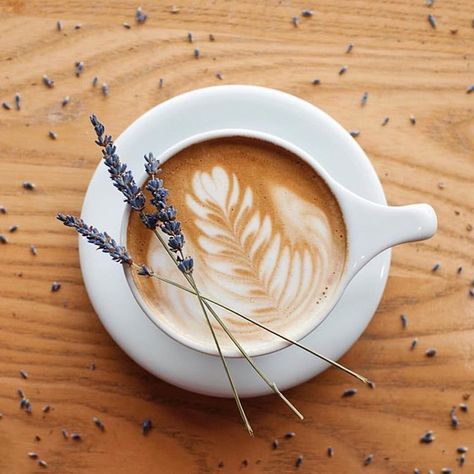 Lavender Latte. Double-shot of espresso; lavender​ simple syrup; steamed milk; milk foam; latte art; topped with lavender for aesthetic. #coffee #latte #art #photography Latte Art, Coffee Art, Latte Art Photography, Coffee Latte Art, Coffee Photography, Latte, Coffee Pictures, Espresso, Aesthetic Coffee