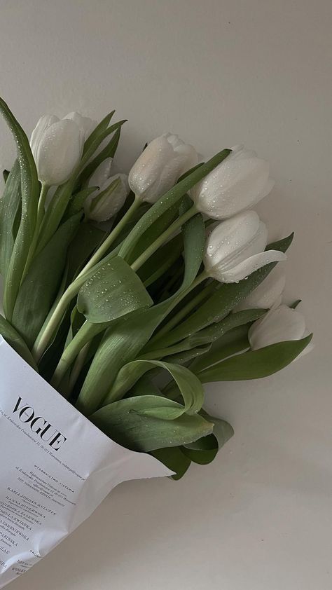 Aesthetics, Tulips, Vintage, Inspo, Green Aesthetic, Vibes, Aesthetic, Nothing But Flowers, The Works