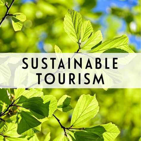 Sustainable tourism guides and resources to help you reduce the environmental and cultural impact of your travels. Art, Nature, Sustainable Tourism, Ethical Travel, Sustainable Forestry, Eco Earth, Tourism, Tourism Day, Travel Experience