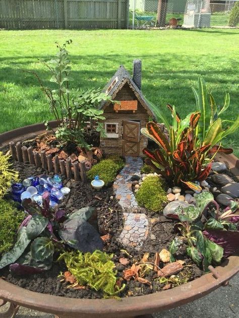 100+ Best DIY Fairy Garden Ideas for 2022 | Decor Home Ideas Indoor Fairy Gardens, Fairy Garden Houses, Fairy Garden Pots, Fairy Garden Containers, Fairy Garden Plants, Fairy Garden Designs, Fairy Garden Diy, Fairy Garden Decor, Fairy Garden