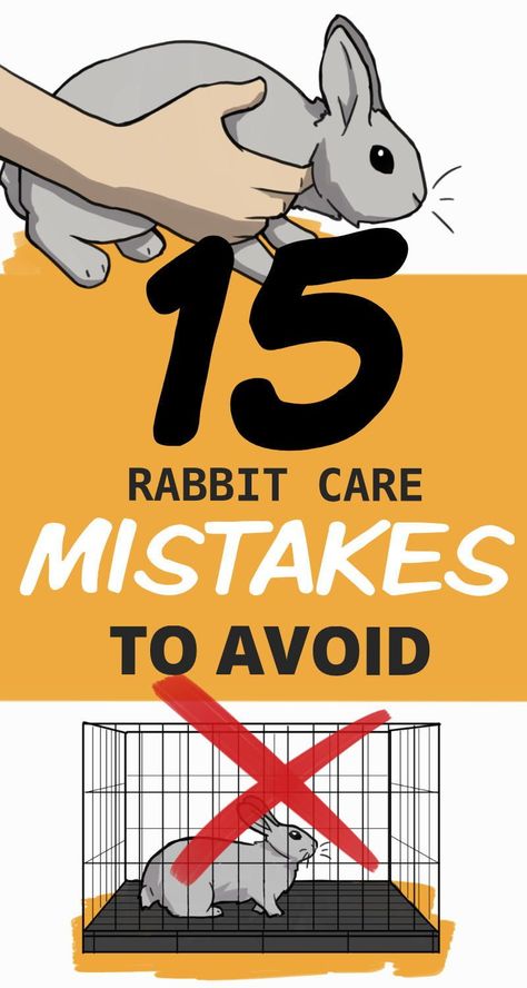 How To Care For Bunnies, Caring For Rabbits, Rabbit Cage Diy, Baby Bunnies Care, Lionhead Rabbit Care, Rabbit Food List, Rabbit Playground, Diy Bunny Cage, Diy Bunny Toys