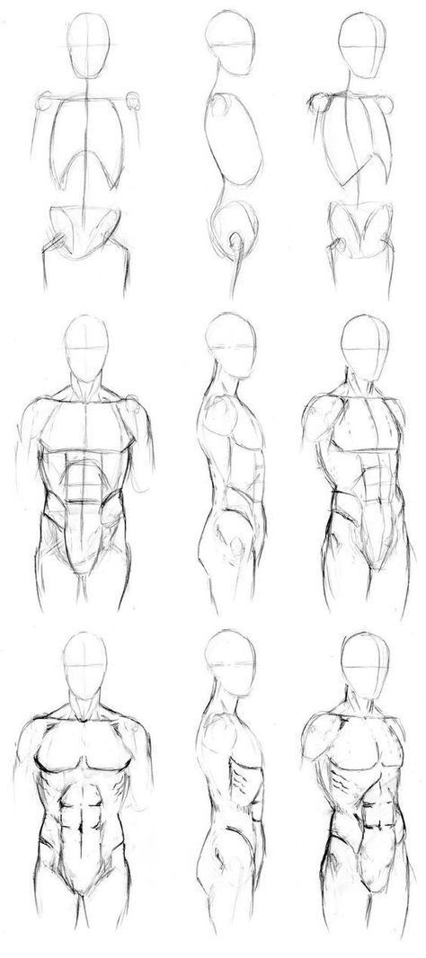 Pencil Artists, Male Body Drawing, Human Body Drawing, Human Body Art, Výtvarné Reference, Human Anatomy Drawing, Siluete Umane, Body Drawing Tutorial, Body Sketches