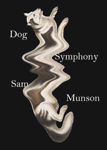 The 15 Best Book Covers of August 2018 | Literary Hub Cover Design, Dog, Logos, Books, Book And Magazine, Dogs, Munson, Book Art, Cover Art