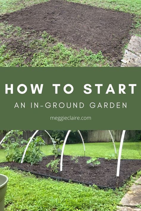 Decoration, Design, Inspiration, Compost, Gardening For Beginners, How To Start Small Garden, Starting A Garden, Starter Garden, Vegetable Garden For Beginners
