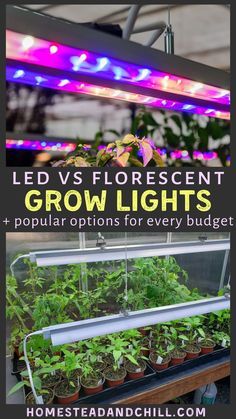 Grow Lights Diy, Grow Lights For Plants, Grow Lights, Indoor Grow Lights, Best Led Grow Lights, Growing Indoors, Led Grow Lights, Growing Plants Indoors, Growing Plants