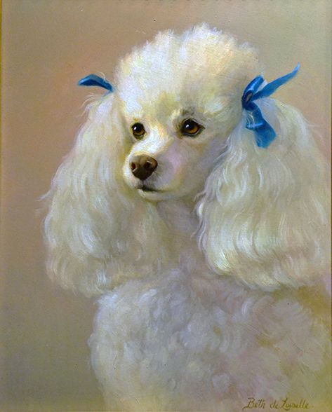 Poodles, Vintage Poodle, French Poodles, Mops, Bloemen, Dog Portraits Art, Poodle Drawing, Poodle, Pet Portraits