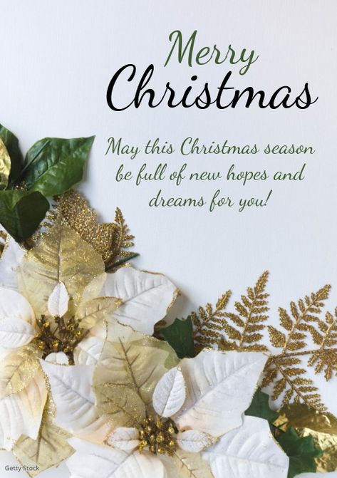 Natal, Art, Christmas Greetings Messages, Merry Christmas Greetings, Merry Christmas Message, Christmas Greetings Quotes, Merry Christmas Greetings Quotes, Christmas Wishes Greetings, Christmas Messages