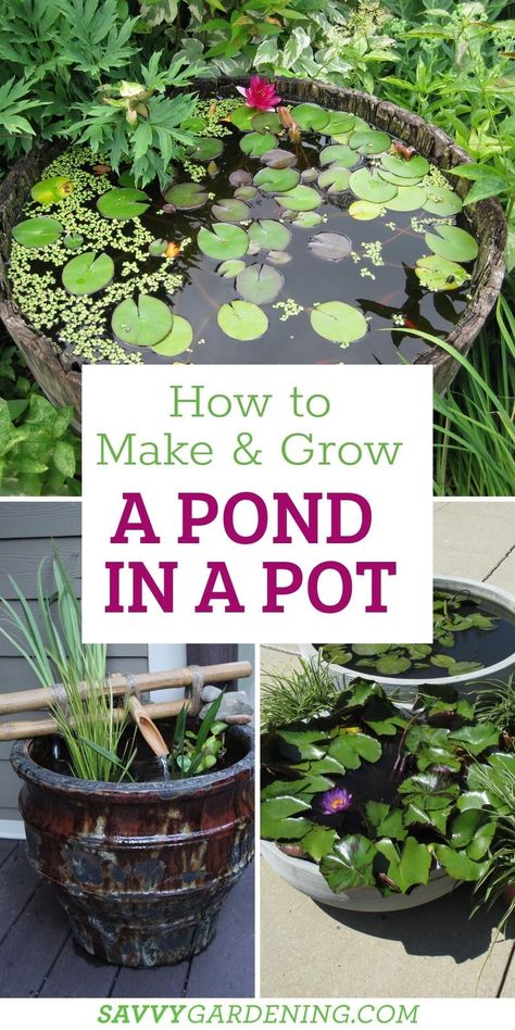 Terrariums, Outdoor Ponds Diy, Diy Water Feature Cheap, Container Water Gardens, Diy Container Pond, Diy Ponds Backyard, Container Fish Pond, Ponds For Small Gardens, Patio Container Gardening