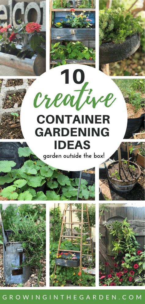 In this post sponsored by Kellogg Garden, I share some creative container gardening ideas I’ve used in my garden - my favorite ways to garden ‘outside the box’ and find creative container gardening ideas to utilize the space you have more efficiently. Gardening, Layout, Garden Planning, Decks, Container Gardening, Ideas, Outdoor, Compost, Planters