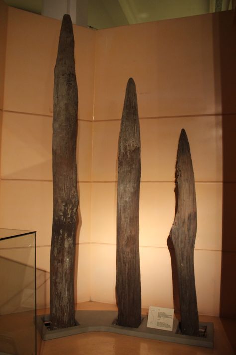 https://flic.kr/p/fRPJux | Wood Stakes Used to Impale Mongol Junks at Naval Battle of Bach Dang, 1288 | Dong Son Culture to Tran Dynasty Gallery, National History Museum of Vietnam, Hanoi. Complete indexed photo collection at WorldHistoryPics.com. Vietnam, Museums, Naval, Swordfish, Culture, Mongol, History Museum, Battle, Dong