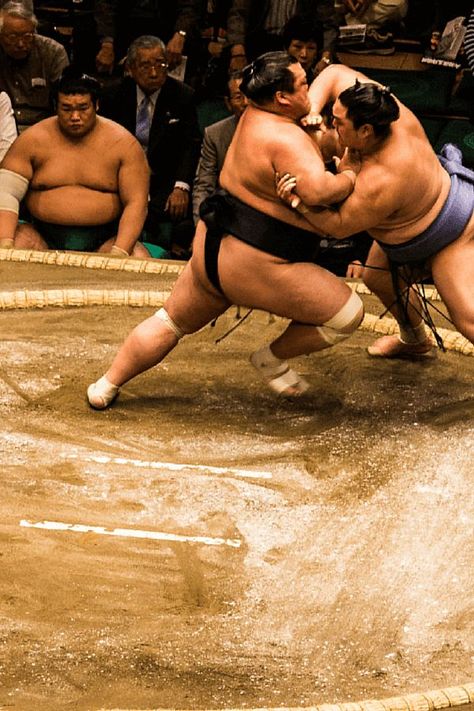 Thinking of seeing sumo when you visit Japan? Find out when & where the official sumo 'basho' tournaments take place, where to sit, how much tickets cost & more! Sumo Wrestler, Japan Travel, Japan Destinations, Asia Travel, Sumo, Japanese Wrestling, Sumo Wrestling, Visit Japan, Japanese Culture