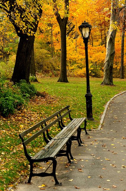Nature, New York City, Central Park, Outdoor, Autumn In New York, Scenic, Autumn Scenery, City, Beautiful Places