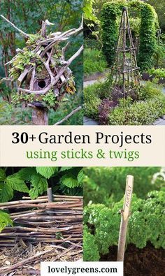 Gardening, Trellis, Yard Art, Garden Projects, Diy Garden Projects, Garden Beds, Garden Decor, Garden Crafts, Garden Landscaping