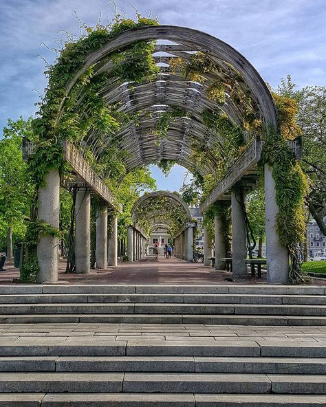 Check out this list of 9 places to take pictures in Boston, MA. From row houses to lush gardens there is something for everyone's Instagram feed. Boston, Destinations, Trips, Wanderlust, Boston Vacation, Places To Go, Places To See, Places To Visit, Boston Garden