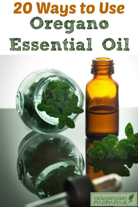 Don't miss our Top 20 Ways To Use Oregano Essential Oil!  These great essential oil uses make your daily life easier with all natural tips anyone can use! Essential Oils, Essential Oil Blends, Young Living Oils, Oregano Essential Oil, Oregano Oil Benefits, Young Living Essential Oils, Oregano Oil, Doterra Essential Oils, Herbs For Anxiety