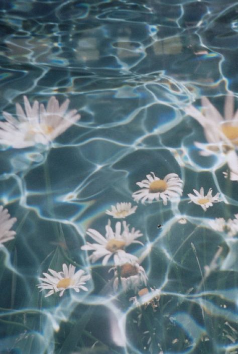 daisies underwater Grunge, Iphone, Instagram, Mood, Tumblr Photography, Idées Instagram, Aesthetic Pictures, Aesthetic Iphone Wallpaper, Grunge Aesthetic