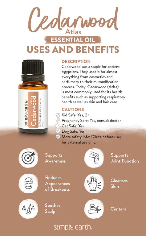 From promoting relaxation to serving as a natural bug repellent, Cedarwood Essential Oil has something for everyone. Cedarwood Essential Oil Uses, Essential Oils Cats, Essential Oil Roller Bottle Recipes, Simply Earth, Dog Remedies, Better Mom, Essential Oil Diffuser Blends Recipes, Aroma Therapy, Essential Oils Guide