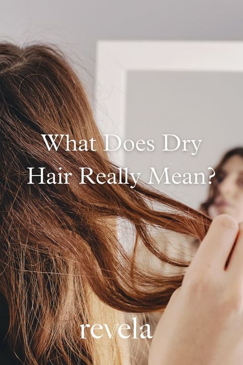 Glow, Stop Hair Breakage, Extremely Dry Hair Treatment, Extremely Dry Hair, Dry Hair Problem, Dry Damaged Hair Treatment, Hair Dryness, Dry Natural Hair Remedies, Dry Brittle Hair