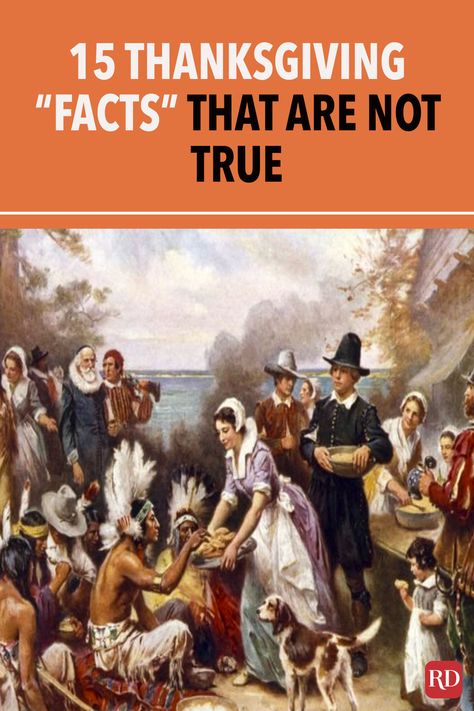 Thanksgiving, Real History Of Thanksgiving, Thanksgiving History Facts, Origin Of Thanksgiving, Thanksgiving Traditions, Thanksgiving Family, Thanksgiving History Lesson, Thanksgiving History, Thanksgiving Feast