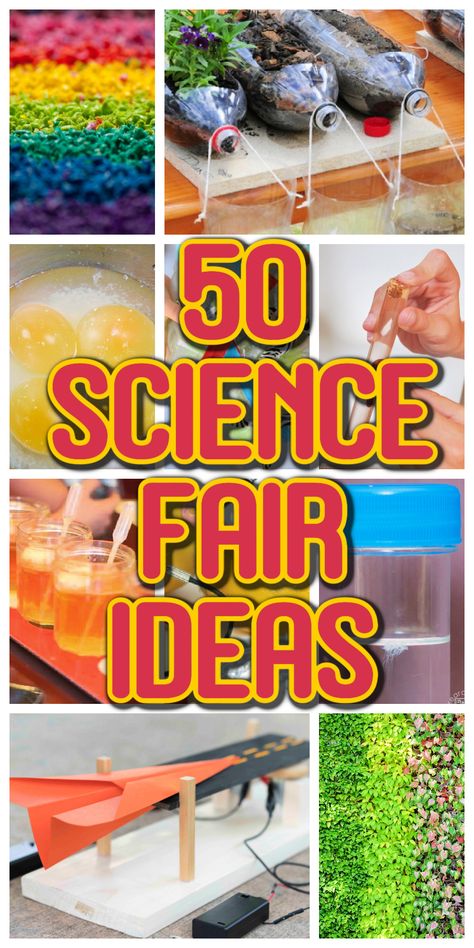 Science Experiments, Science Experiments Kids Easy, Science Experiments Kids, Easy Science Fair Projects, Science Fair Experiments, Best Science Fair Projects, Kids Science Fair Projects, Elementary Science Fair Projects, Easy Science Experiments