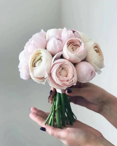Beautiful #bouquets 😍 1-10? 🎥 @flowerna.ru #flower #flowers #beautiful #beauty #amazing | Instagram Wedding Flowers, Pink, Floral, Bouquets, Hochzeit, Flower Arrangements, Flowers Bouquet, Boda, Ranunculus Wedding