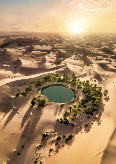 Al Ain in the United Arab Emirates (UAE), is an inland oasis city on the eastern border with Oman.   📸@100.pixels/IG #uae #alain #desert Egypt, Nature, Elba, Resim, Dao, Fotografie, Fantasy, Nima, Fotografia