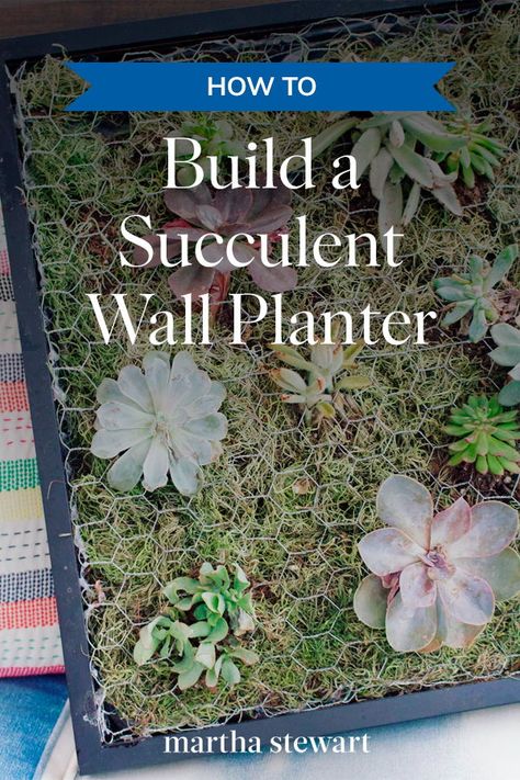 Gardening, Inspiration, Outdoor, Diy, Design, Succulent Wall Planter, Wood Succulent Planter, Diy Cement Planters, Cement Planters