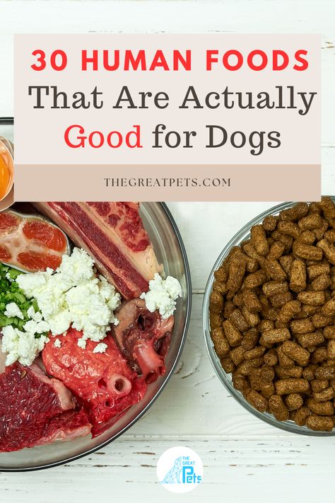 30 Human Foods That Are Actually Good for Dogs Dog Food, Homemade Dog Food, Miyagi, Dog Nutrition Homemade, Dog Food Recipes, Dog Nutrition, Dog Safe Foods, Healthy Dog Food Homemade, Dog Safe Food