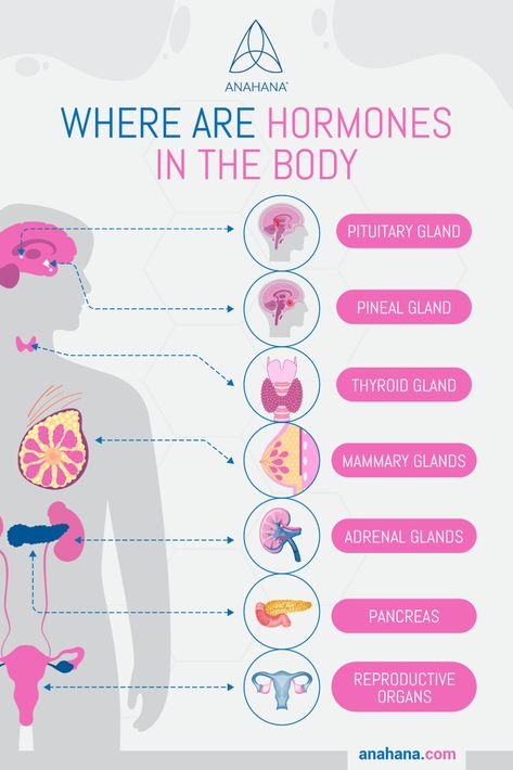 Learn About the Hormones in Your Body Yoga, Chakras, Acupuncture, Thyroid Gland, Thyroid Problems, Endocrine System Hormones, Hormone Disorder, Thyroid Disease, Endocrine System