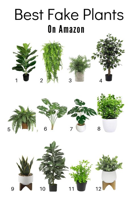 The Best Fake Plants To Purchase On Amazon - Mama Bear Wooten Norman, Indoor Plants, Outdoor Plants, Plant Decor Indoor, Hanging Plants, Plant Shelves, Artificial Plants Indoor, Real Plants, Plant Decor